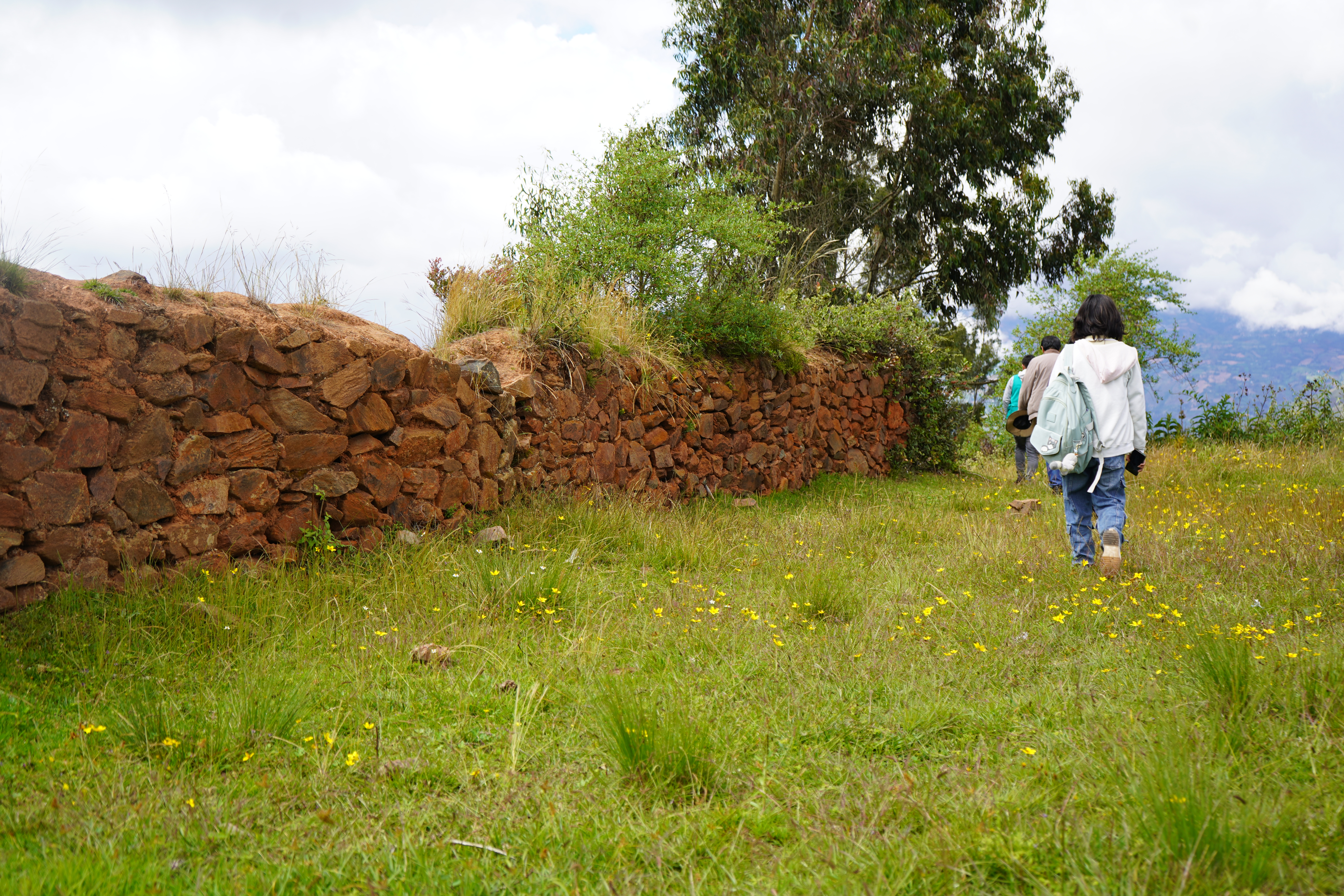 Odontología en Santa María